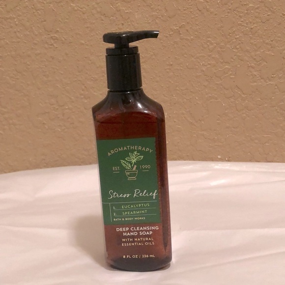 NWT Bath & Body Works Aromatherapy Eucalyptus & Spearmint Hand Soap - Picture 1 of 5